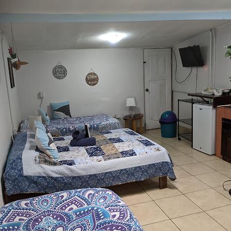 Guesthouse Casa Lapa2 알라후엘라 외부 사진