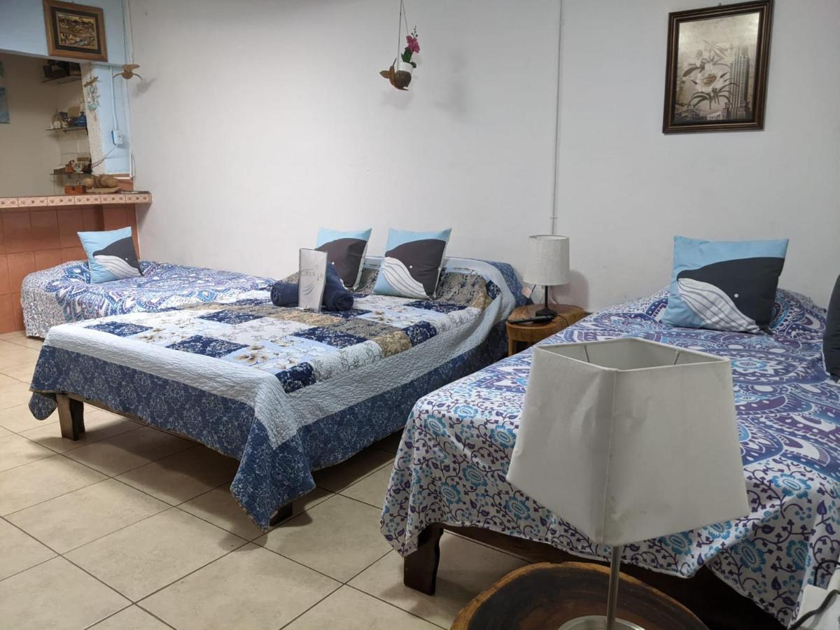Guesthouse Casa Lapa2 알라후엘라 외부 사진