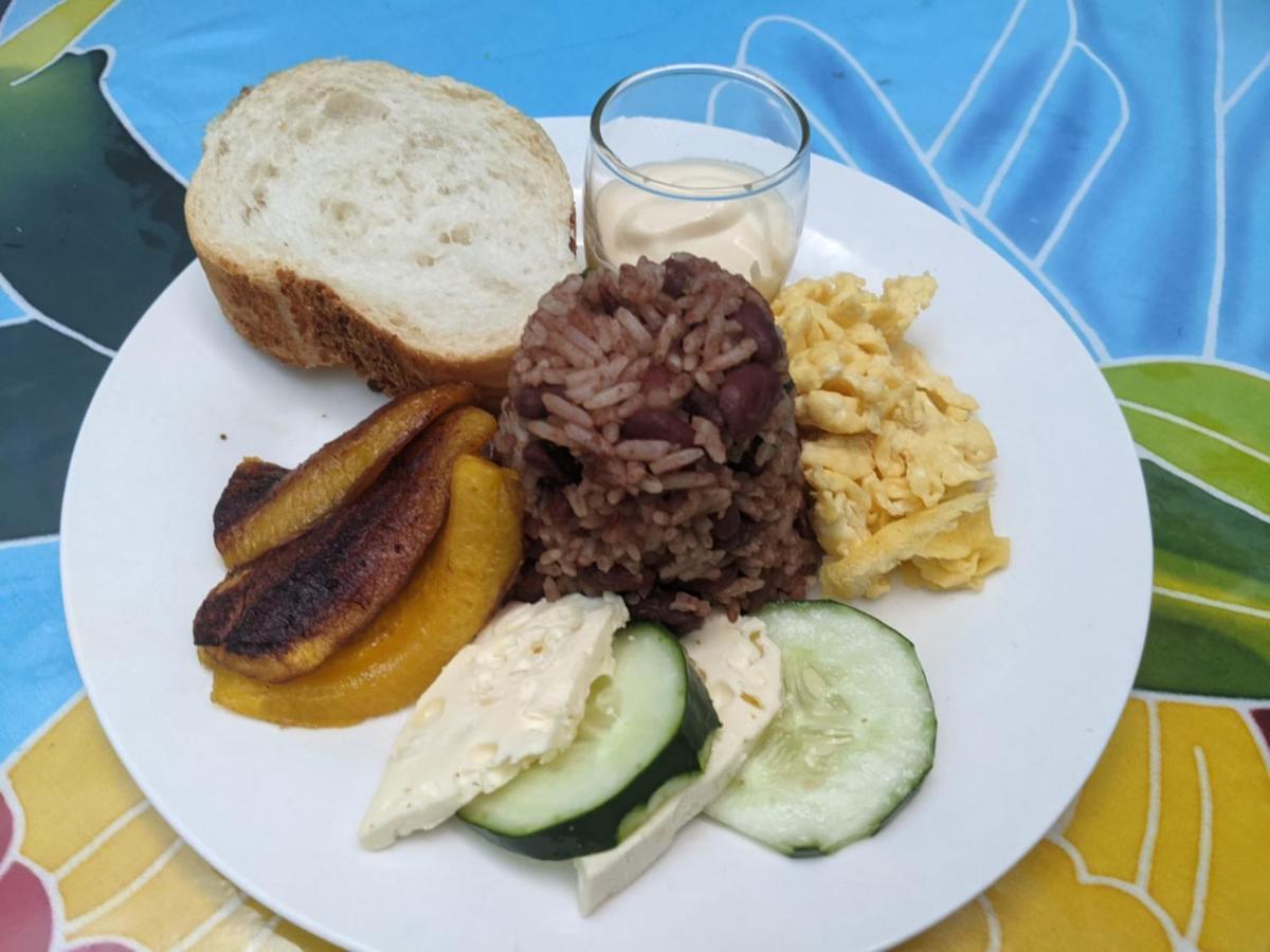 Guesthouse Casa Lapa2 알라후엘라 외부 사진